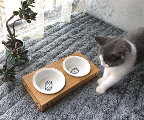 고양이 밥 그릇 위치